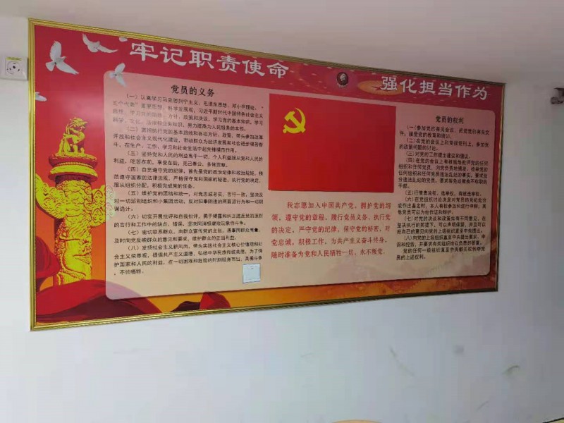 2020年度党支部工作总结2