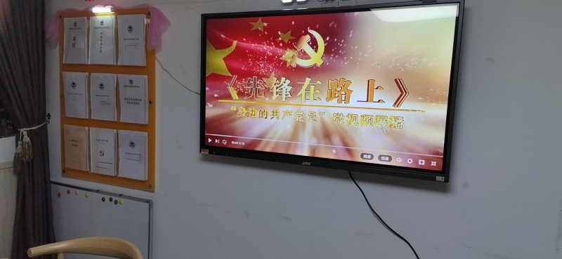 2020年度党支部工作总结5