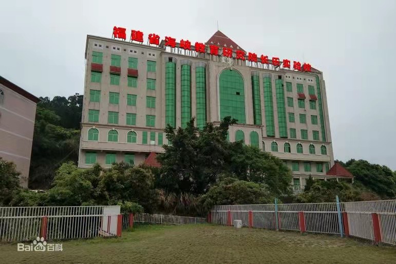 19总结6