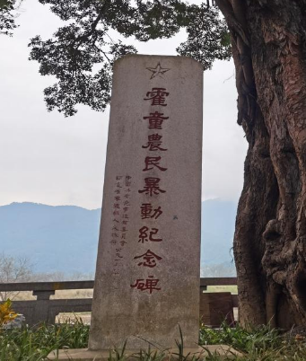 图片5