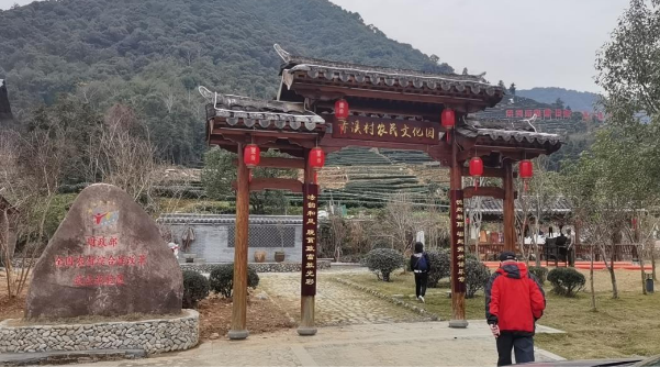 图片8