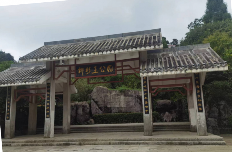 图片3