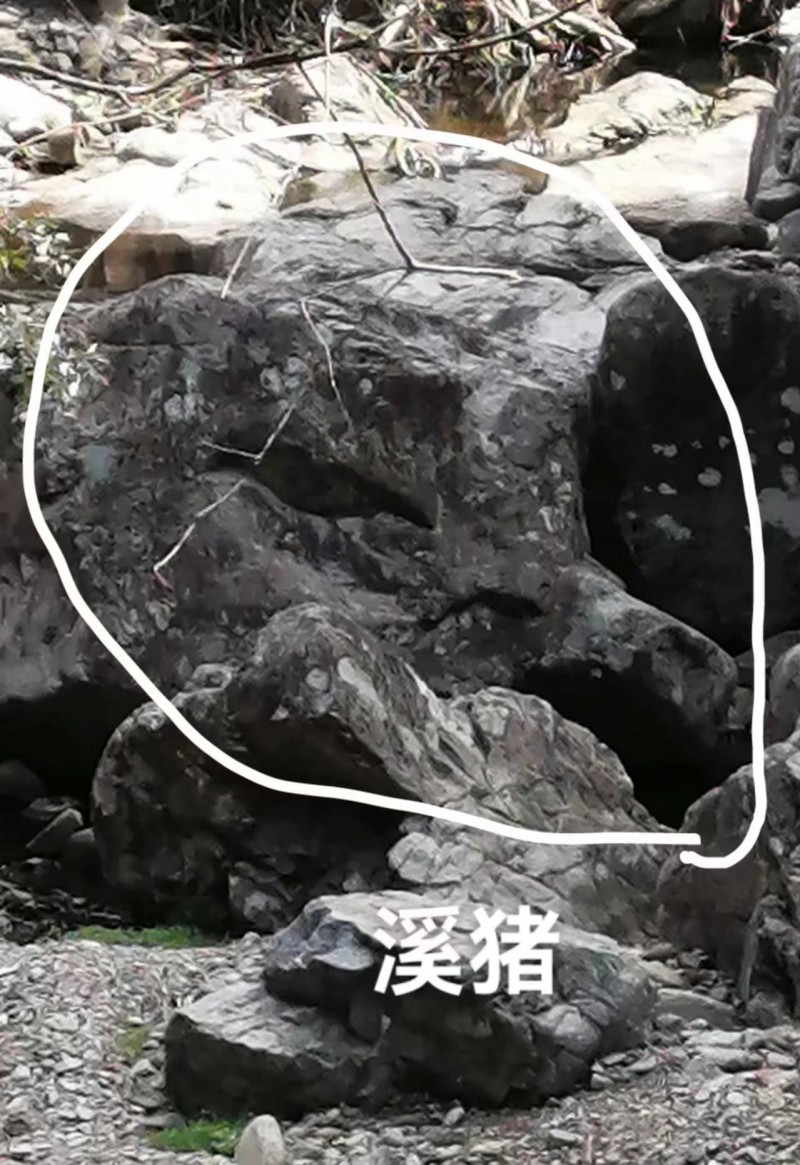 微信图片_4